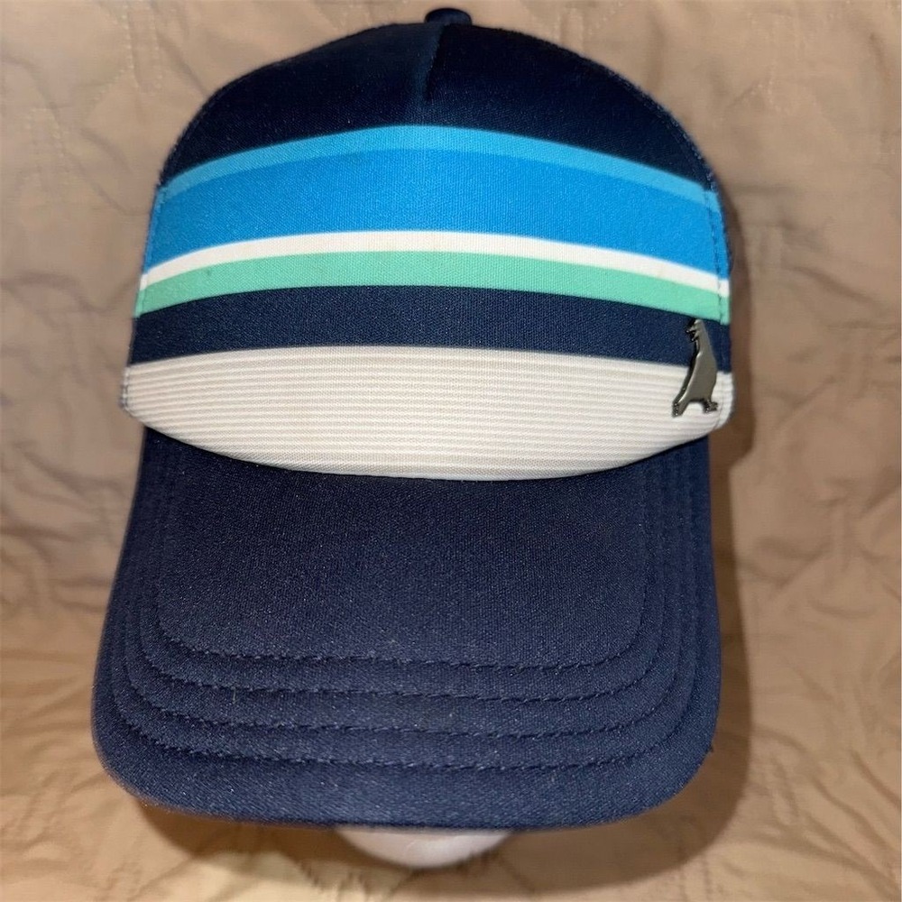 Aeropostale Trucker Hat Unisex Striped Snapback with Bird Pin Design